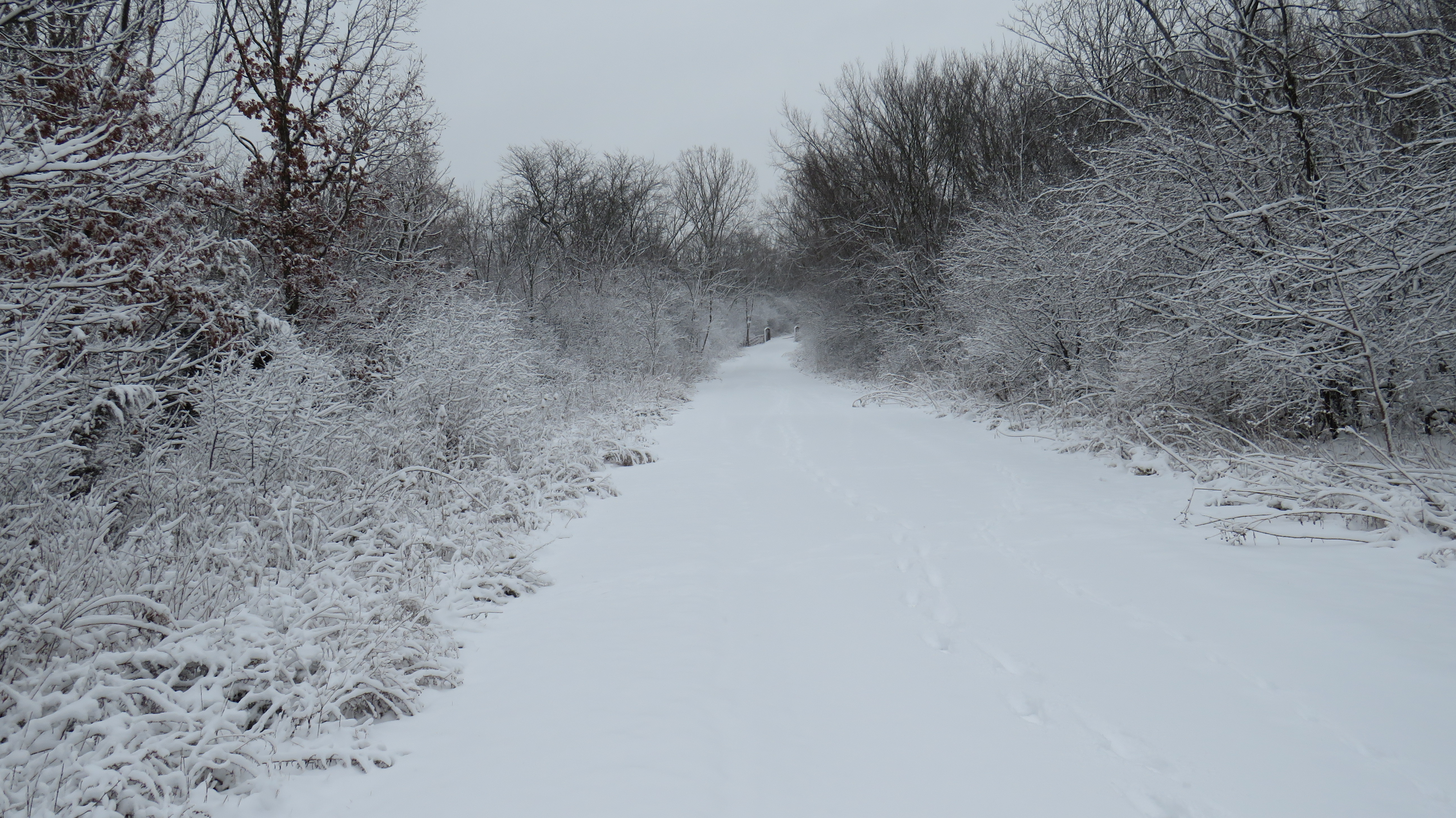 tinley creek bike trail