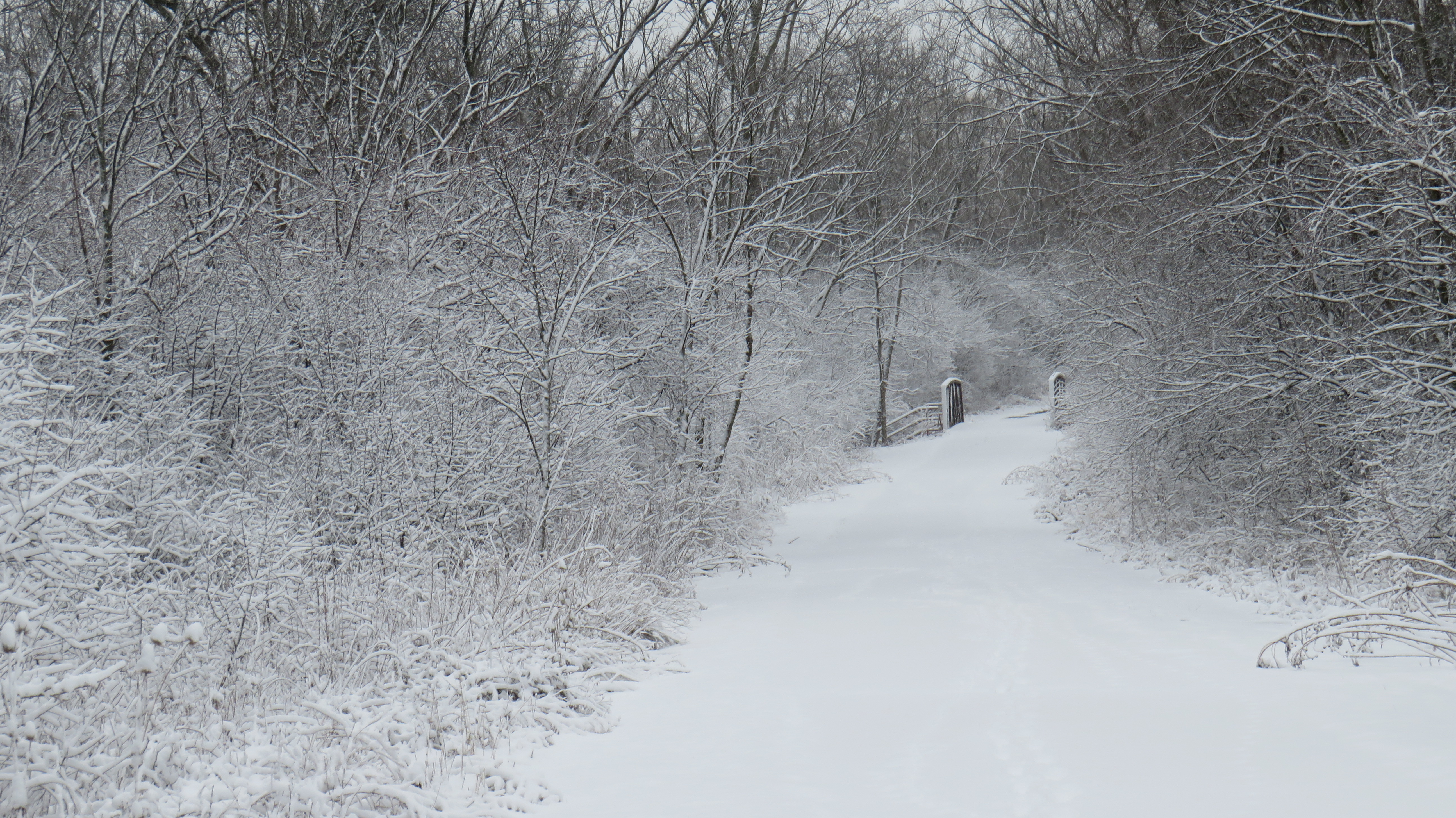 tinley creek bike trail