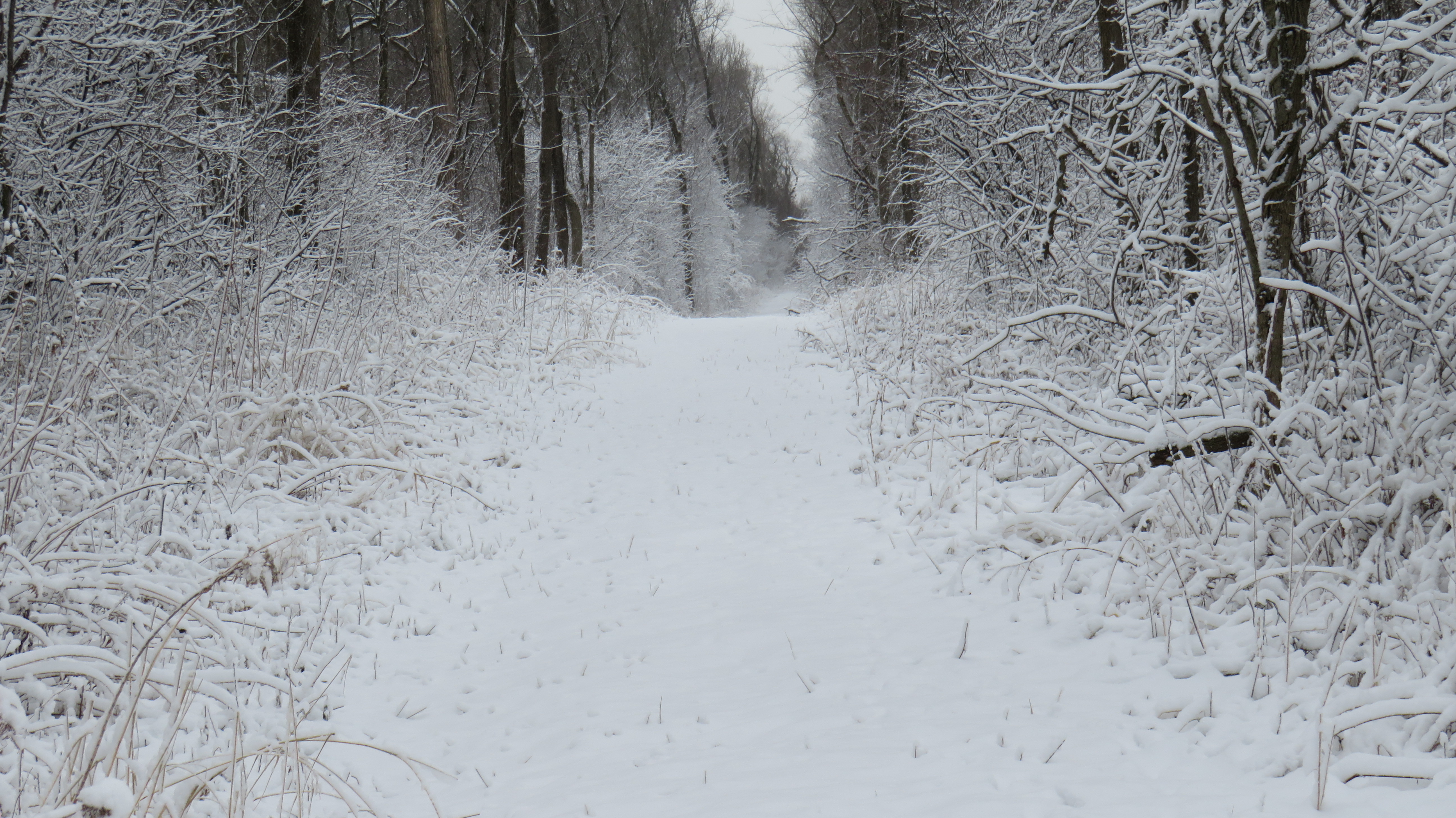 tinley creek bike trail