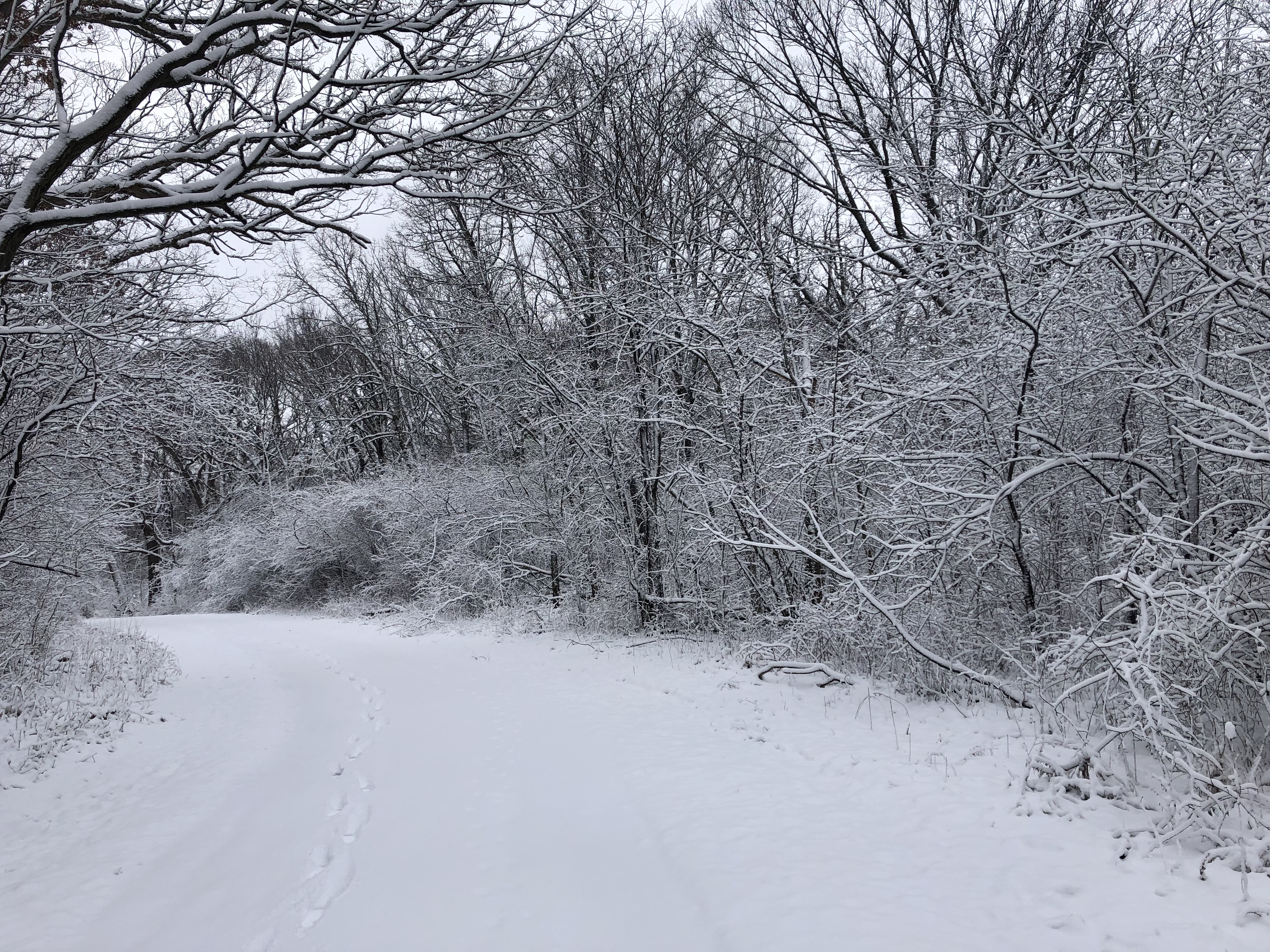 tinley creek bike trail