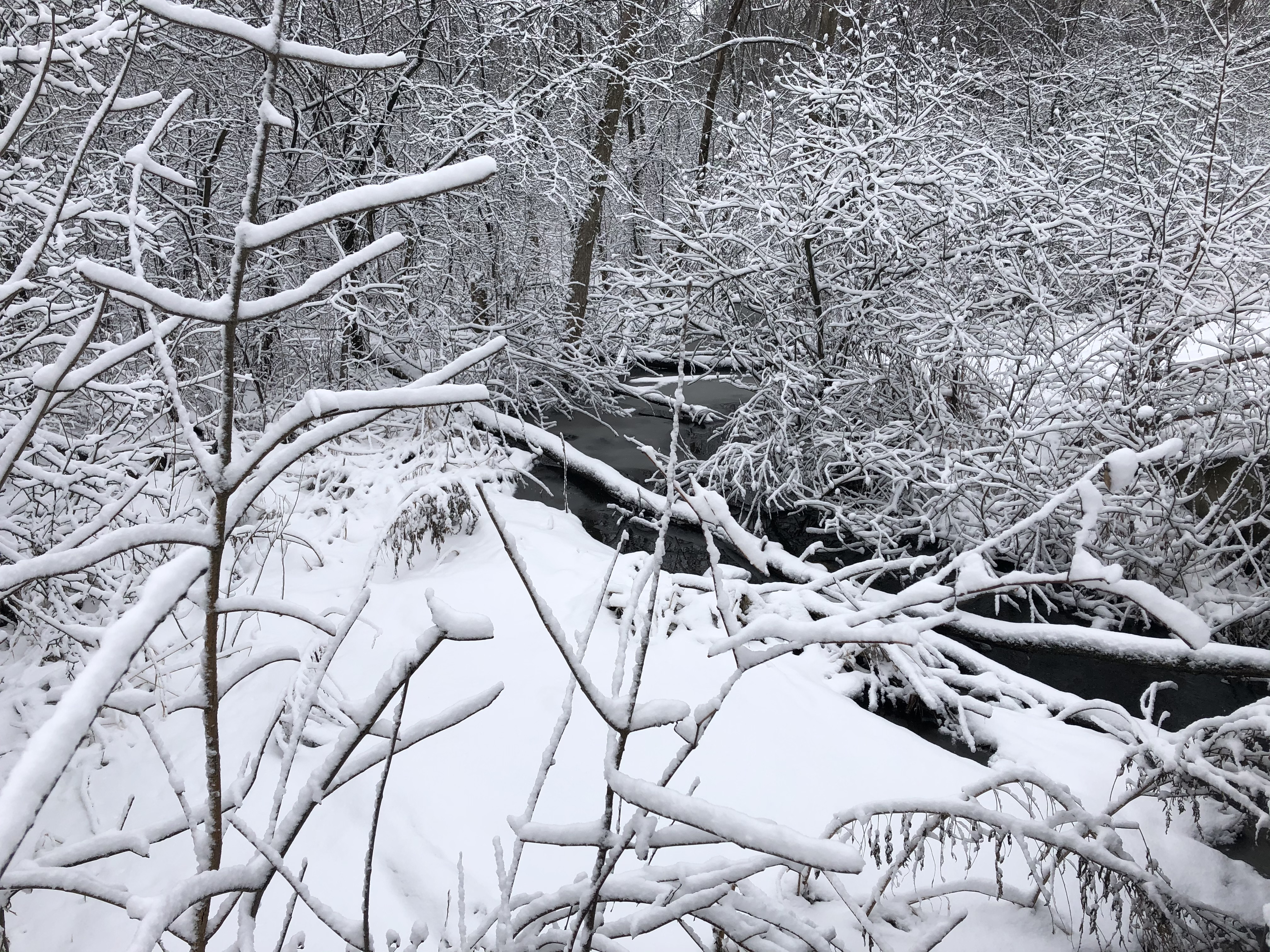 tinley creek bike trail